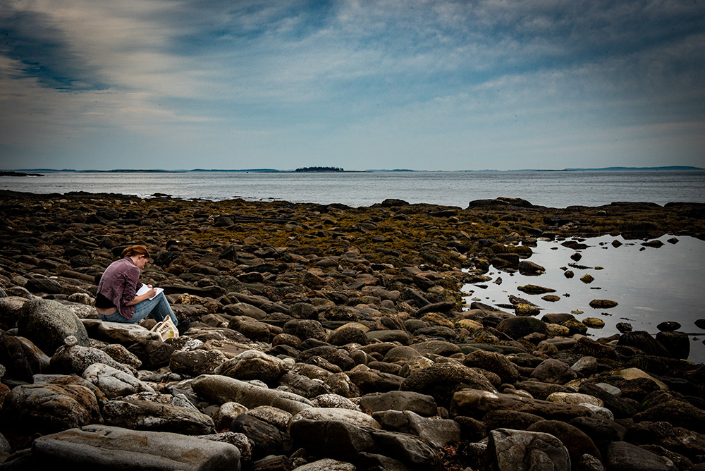 Rachel Carson Salt Pond Preserve